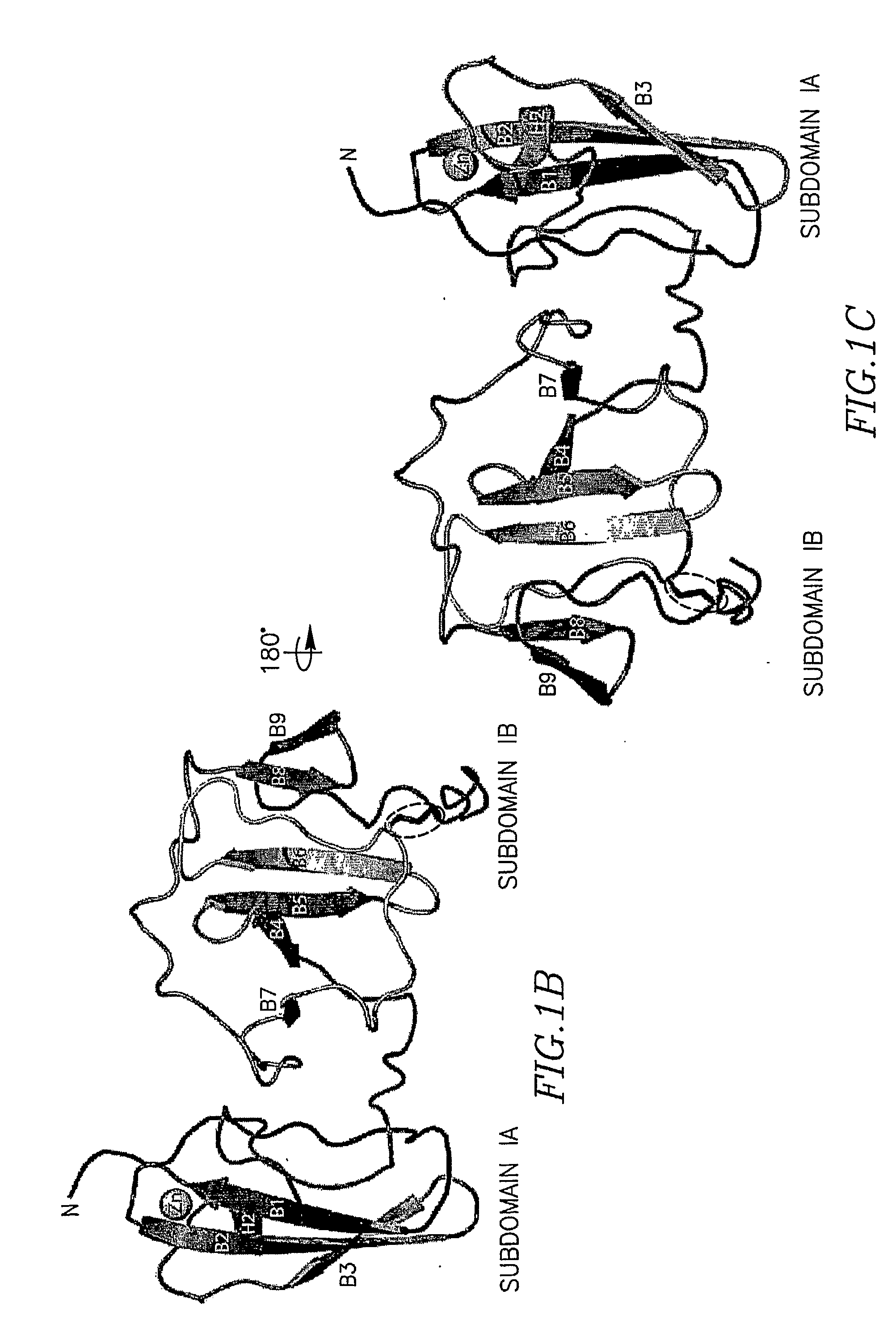 Structure of the Hepatitis C Ns5a Protein