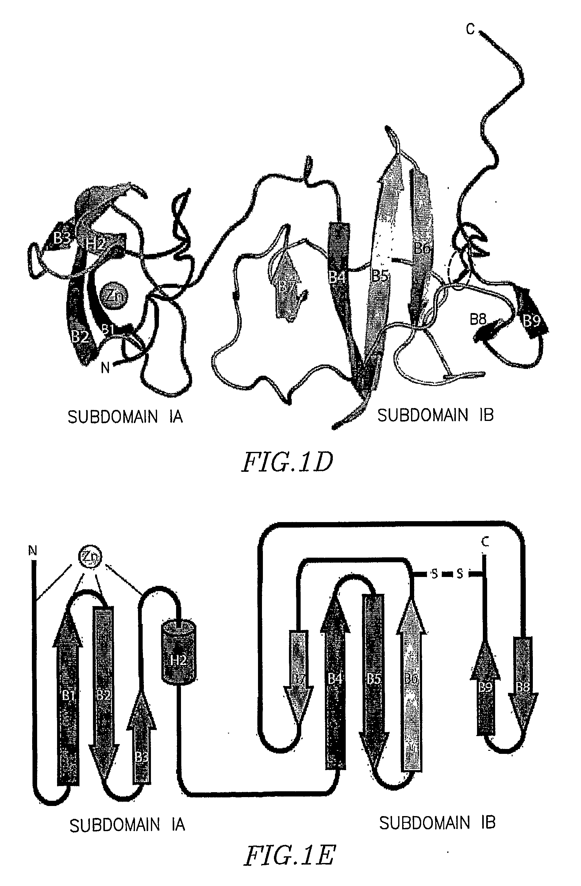 Structure of the Hepatitis C Ns5a Protein