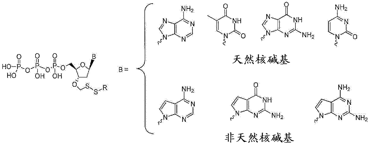 Nucleotide analogues