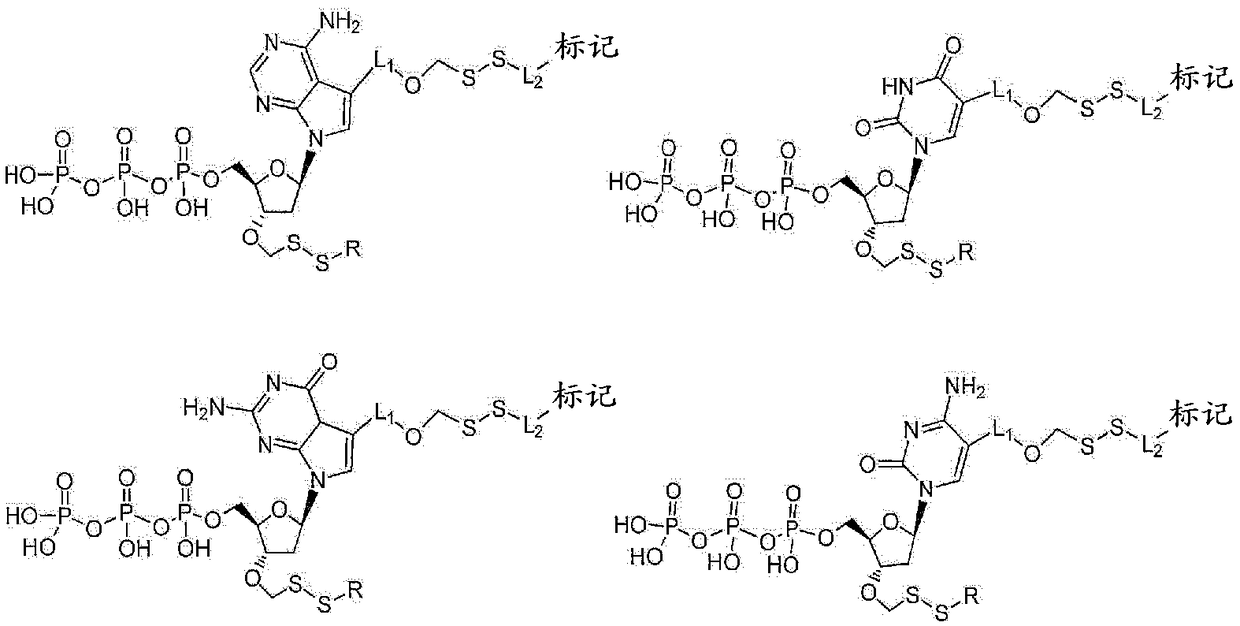 Nucleotide analogues