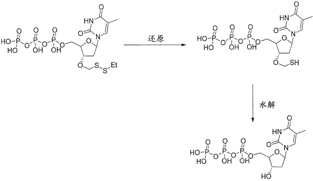 Nucleotide analogues