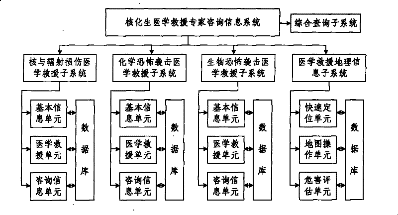 Nuclear, chemical and biological medical rescue expert consulting information system