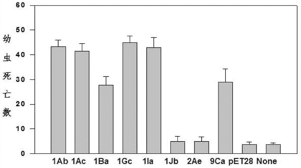 Novel recombinant insect resistant protein as well as preparation method and application thereof