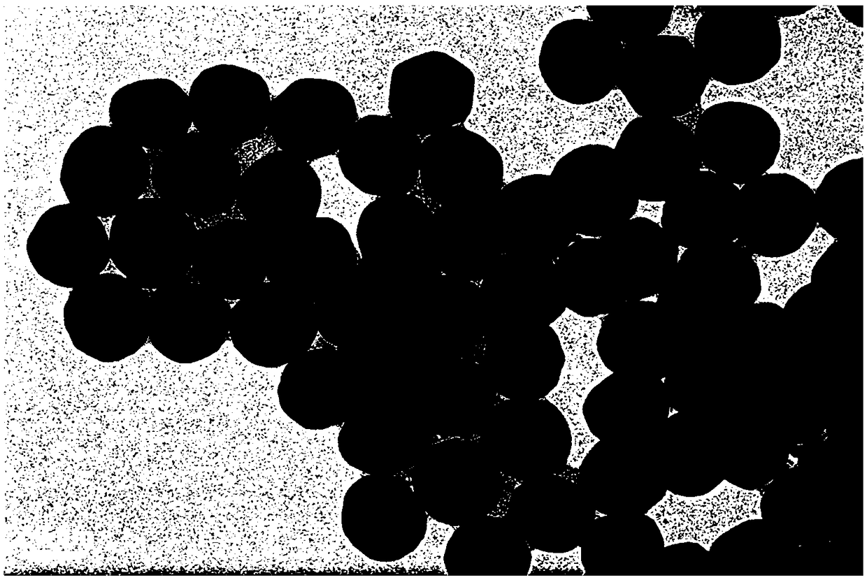 Tyrosinase activity detection method based on recyclable SERS sensor