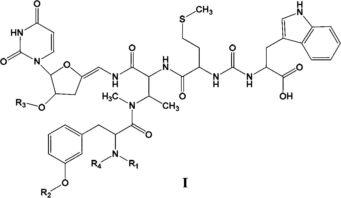 New sansanmycins, and their uses as anti-tuberculous medicines