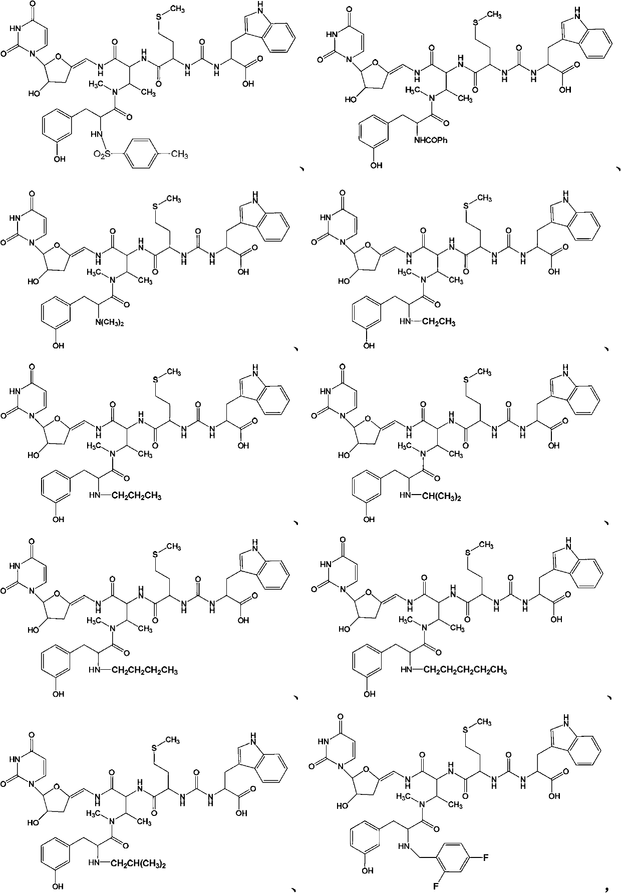 New sansanmycins, and their uses as anti-tuberculous medicines