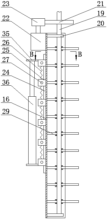 Novel efficient threshing equipment for xanthoceras sorbifolia bunge