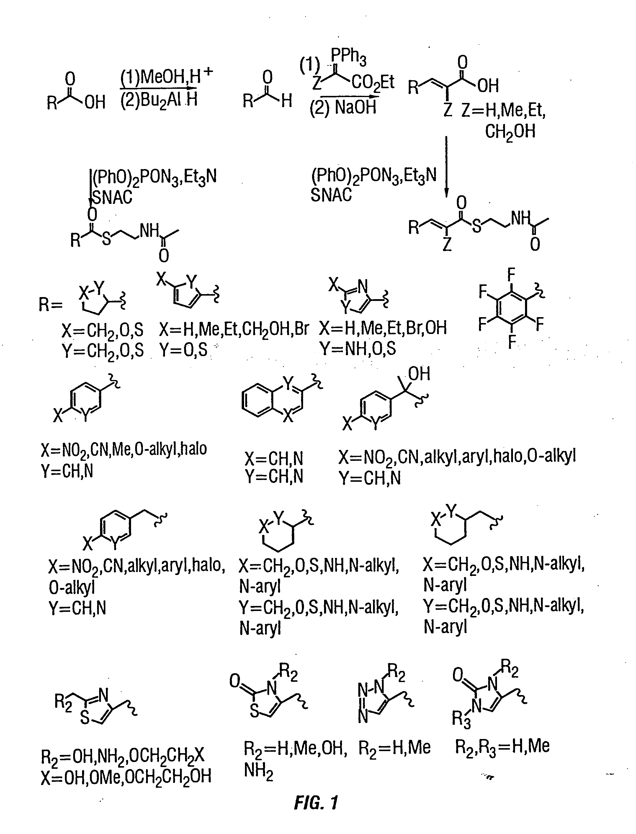 Production of polyketides