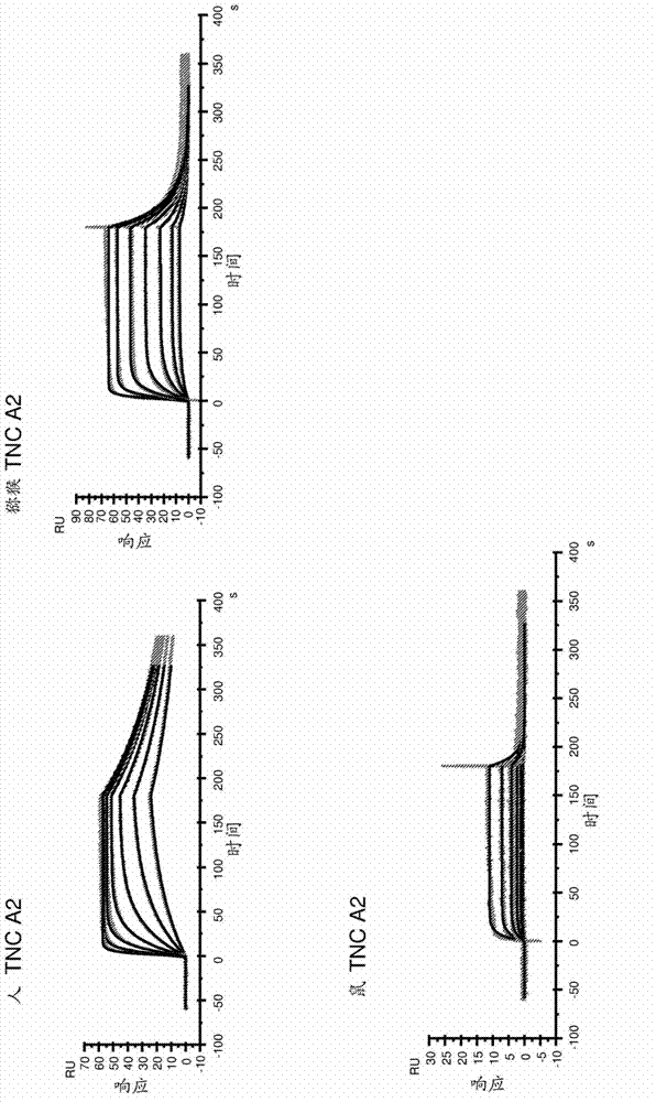 Anti-tenascin-c a2 antibodies and methods of use