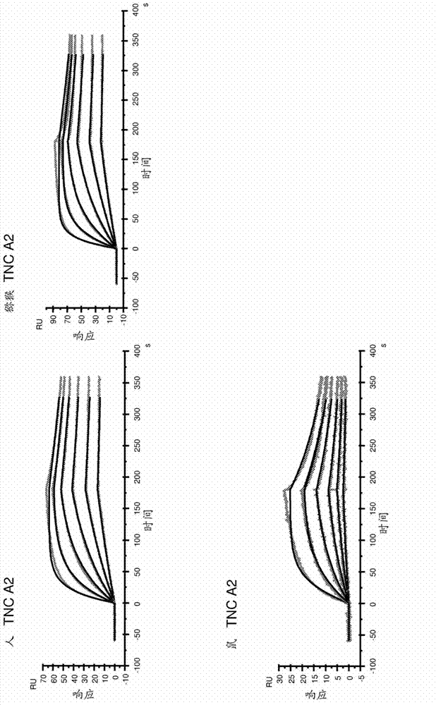 Anti-tenascin-c a2 antibodies and methods of use