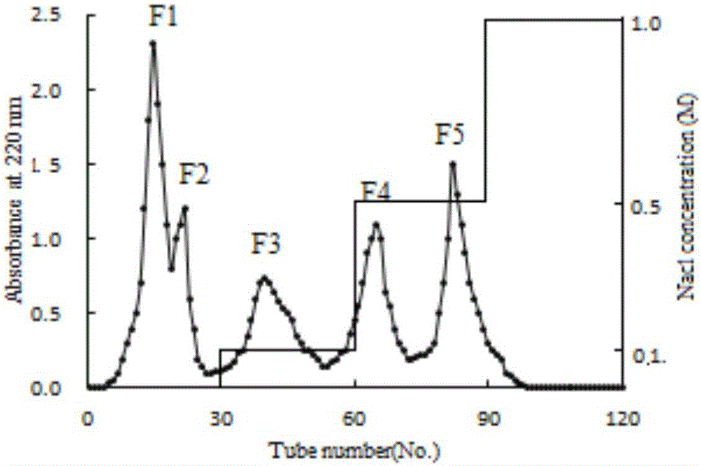 Penaeus japonicus head ACE (angiotensin converting enzyme) inhibiting peptide and preparation method thereof