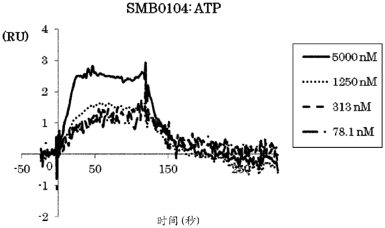 target tissue specific antigen binding molecule