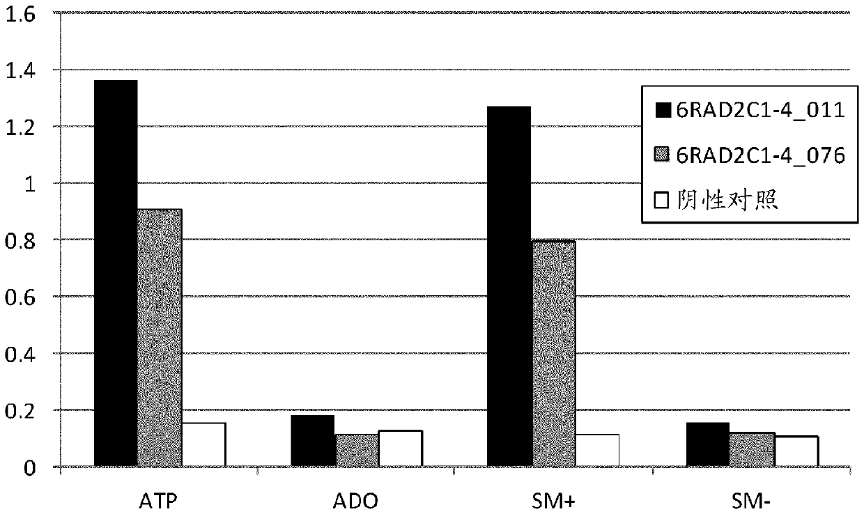 target tissue specific antigen binding molecule