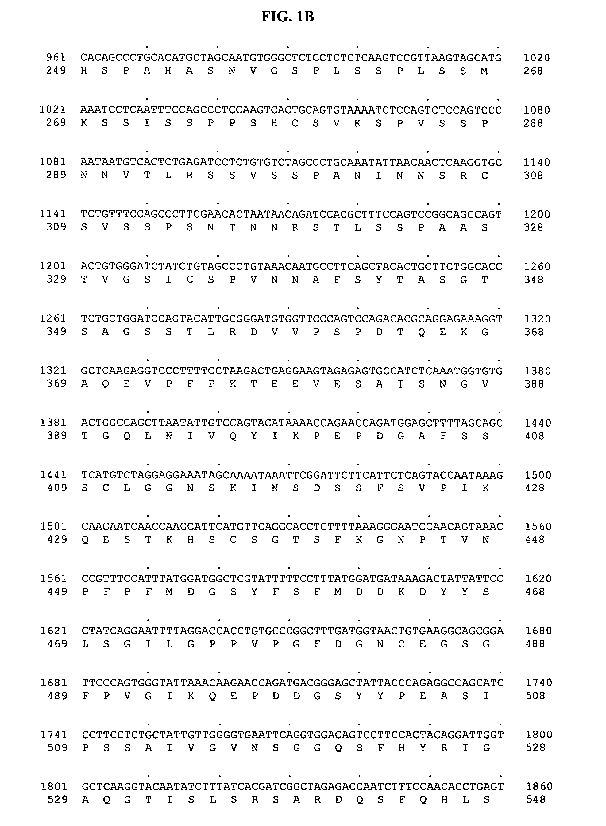 Human MLR single nucleotide polymorphisms associated with dose-dependent congestive heart failure and methods of use thereof