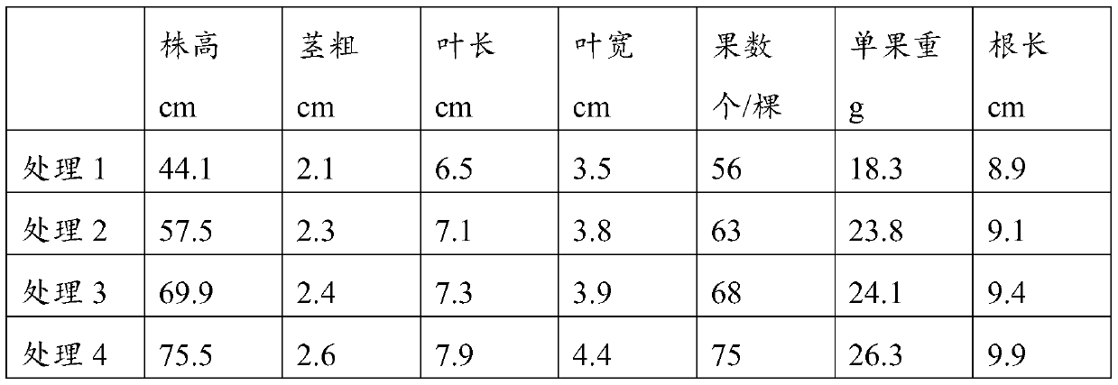 Novel multi-bacterial compound microorganism fertilizer and preparation method and application thereof