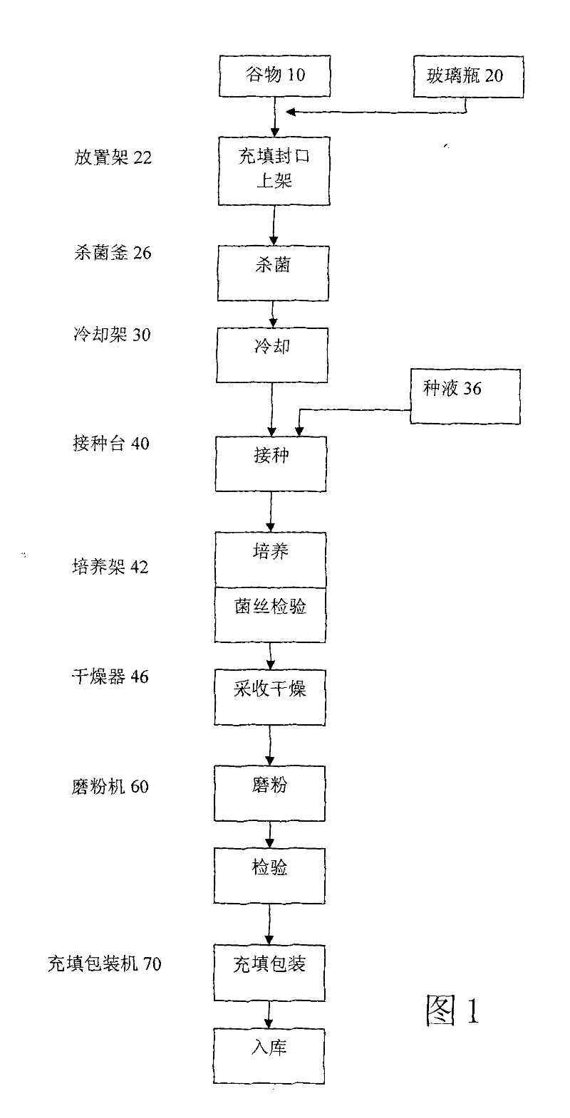 Method for preparing antradiacomphora extract with high contents of polysaccharides and triterpenoids