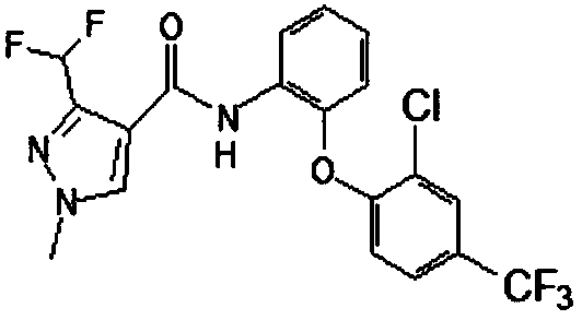 Compound bactericide