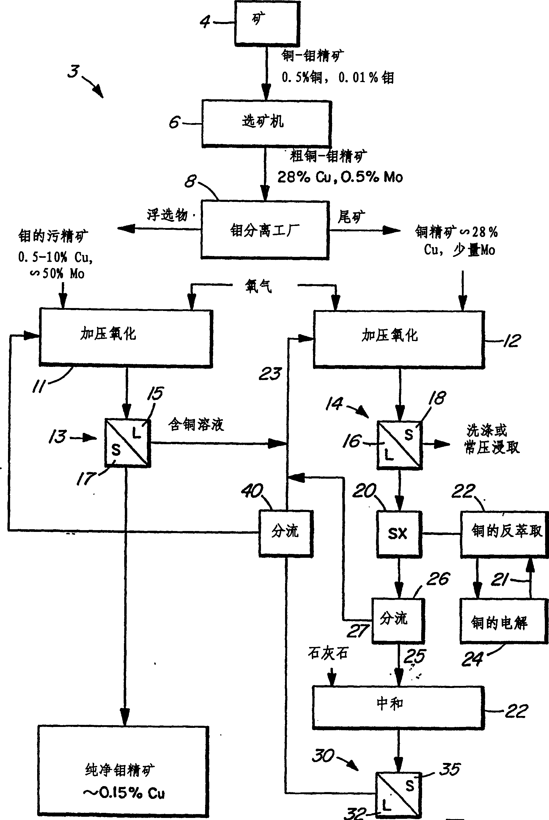 Process for the treatment of molybdenum concentrate