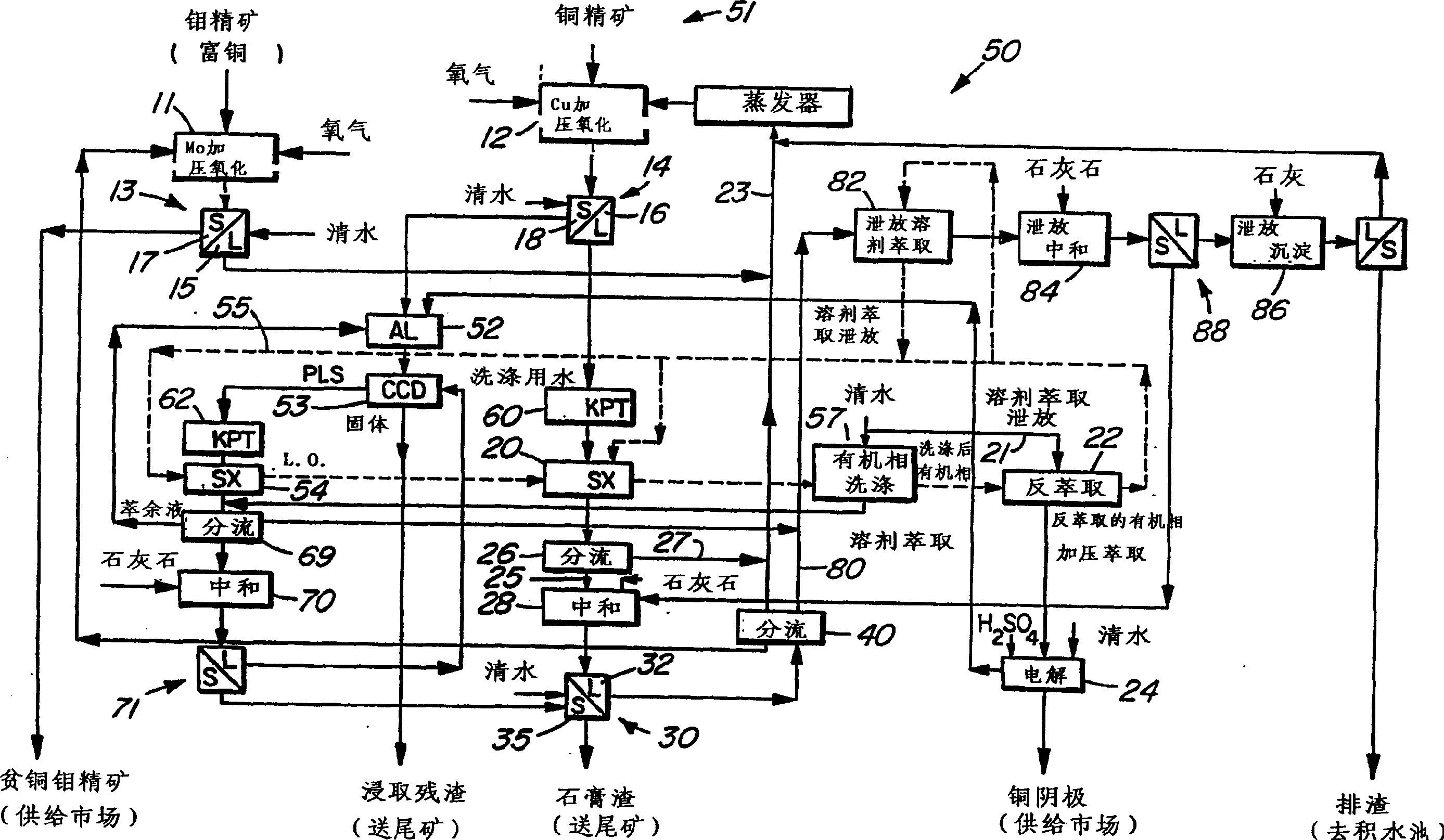 Process for the treatment of molybdenum concentrate