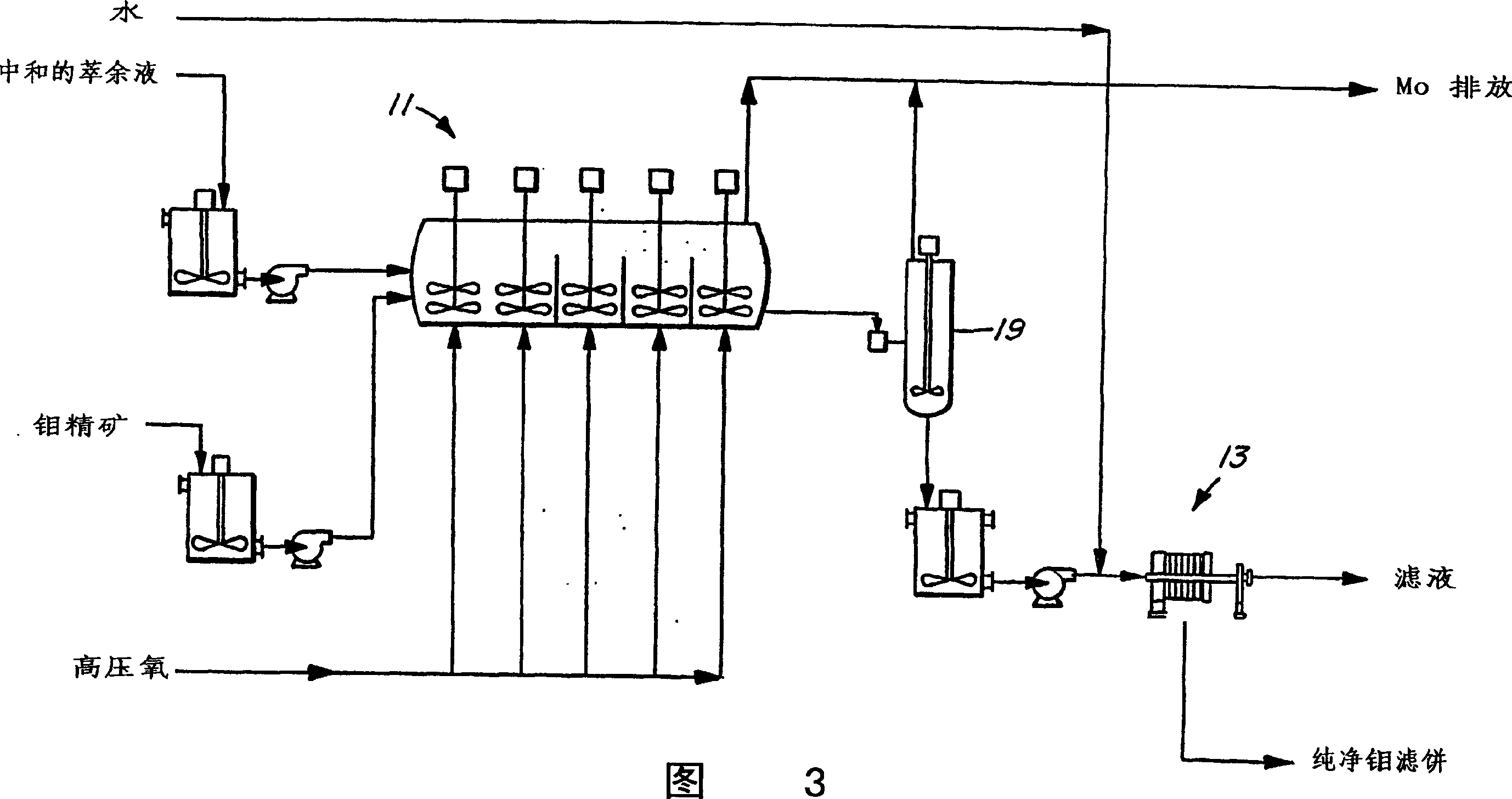 Process for the treatment of molybdenum concentrate