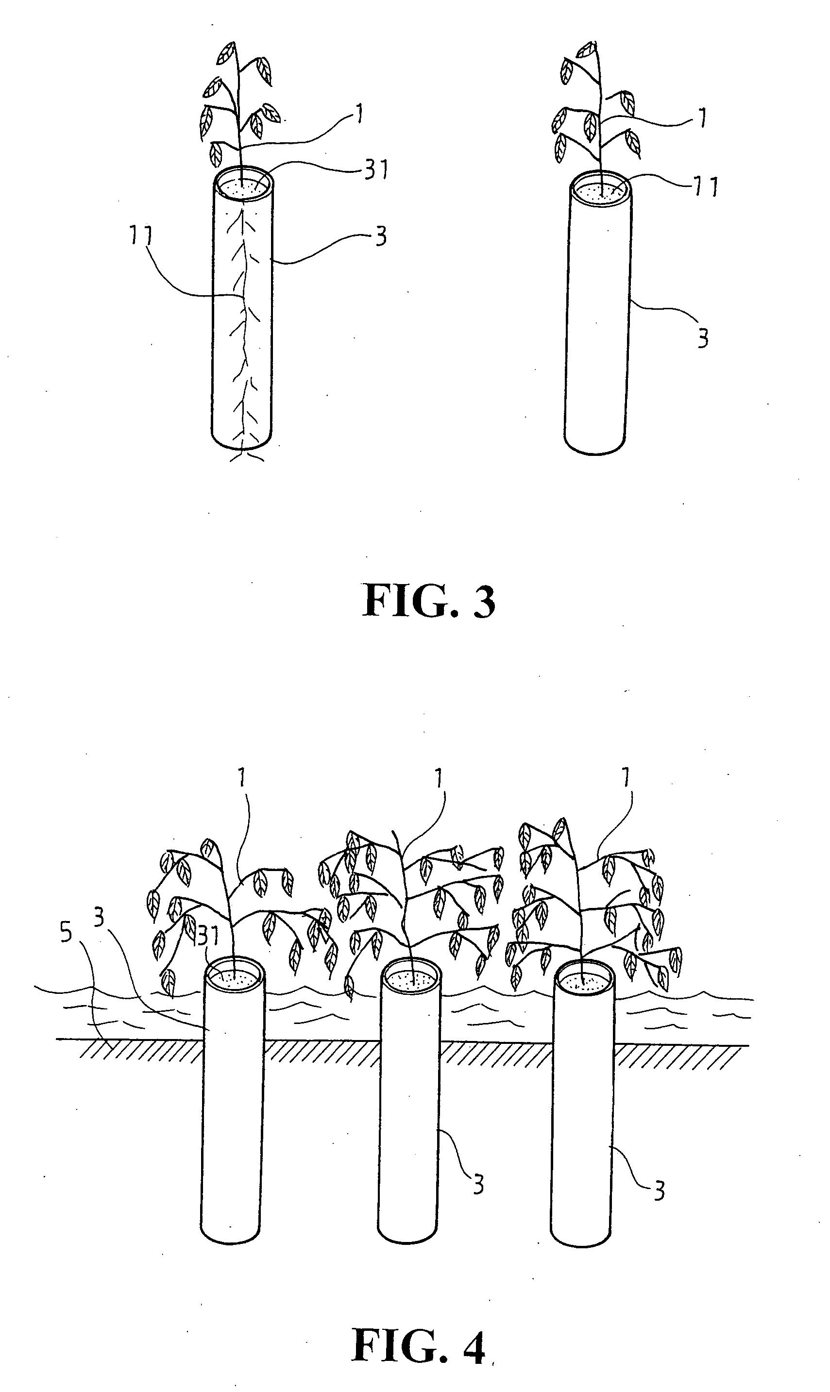 Mangrove seedling & plantation methodology