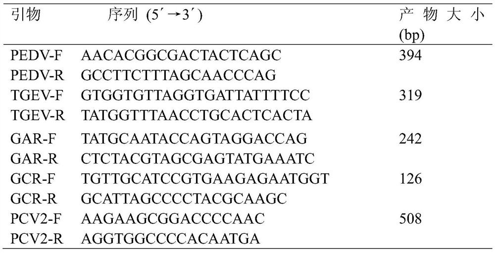 Multiplex pcr rapid diagnostic kit for five kinds of porcine diarrhea virus and its application