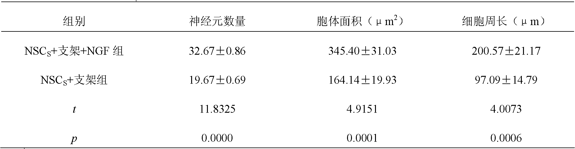 Porous chitosan scaffold, and neural stem cell porous chitosan scaffold and application thereof