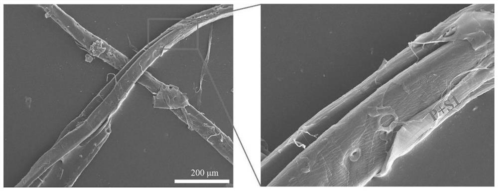 Method for dissociating plant fiber secondary wall S2 layer