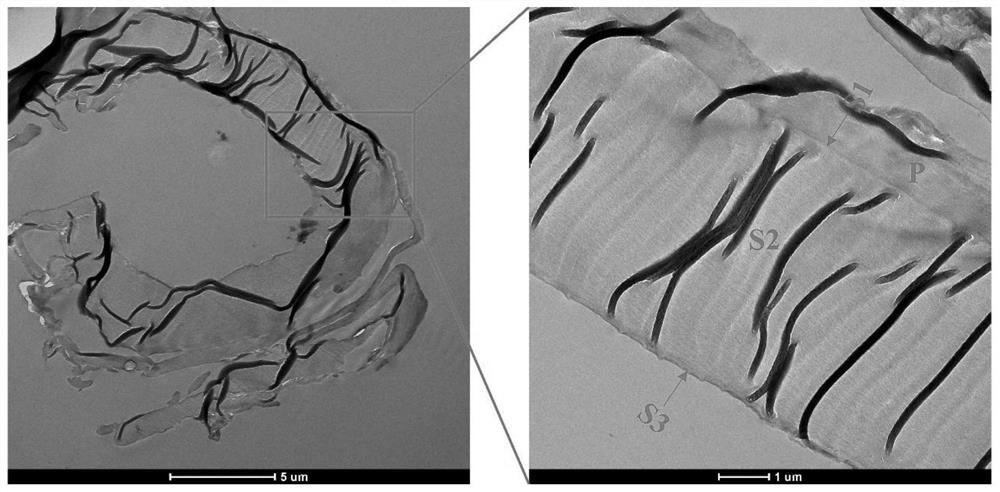 Method for dissociating plant fiber secondary wall S2 layer