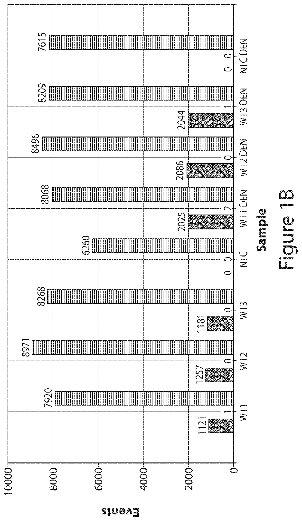 Denaturation-enhanced DNA mutation testing for limited biological specimens