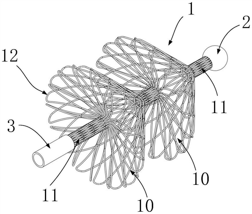 Calculus removing support and calculus removing device