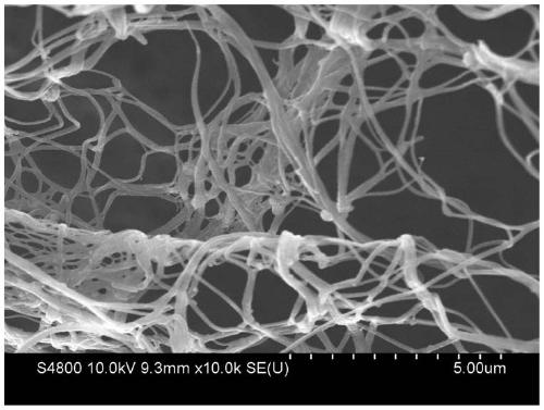 Modified extracellular matrix hydrogel and its preparation method and application, tissue engineering material