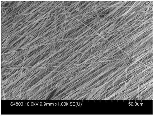 Modified extracellular matrix hydrogel and its preparation method and application, tissue engineering material