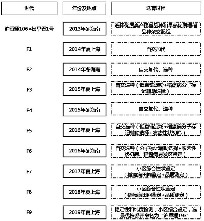 Breeding method of new variety of high-quality Jingqing japonica rice