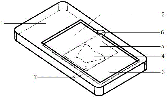 Device used for repeated immunostaining of same tissue slice