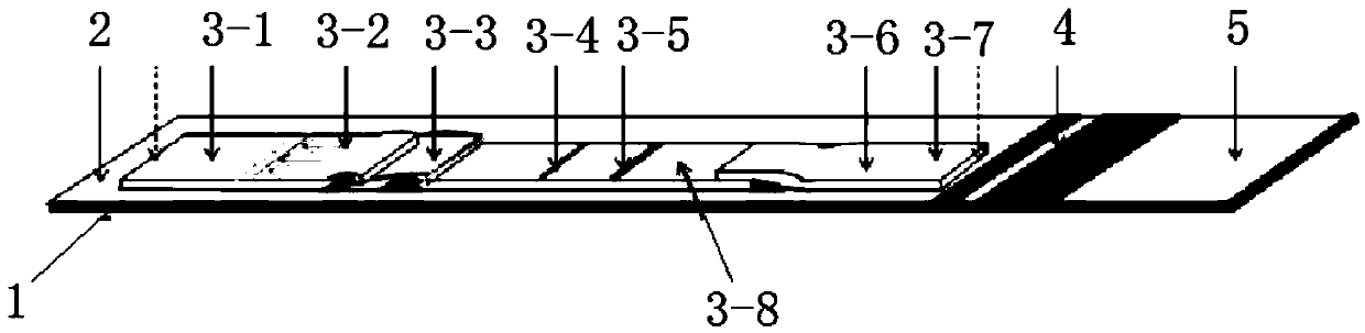 Using and preparation methods of human chorionic gonadotropin test strip for full-automatic analyzer