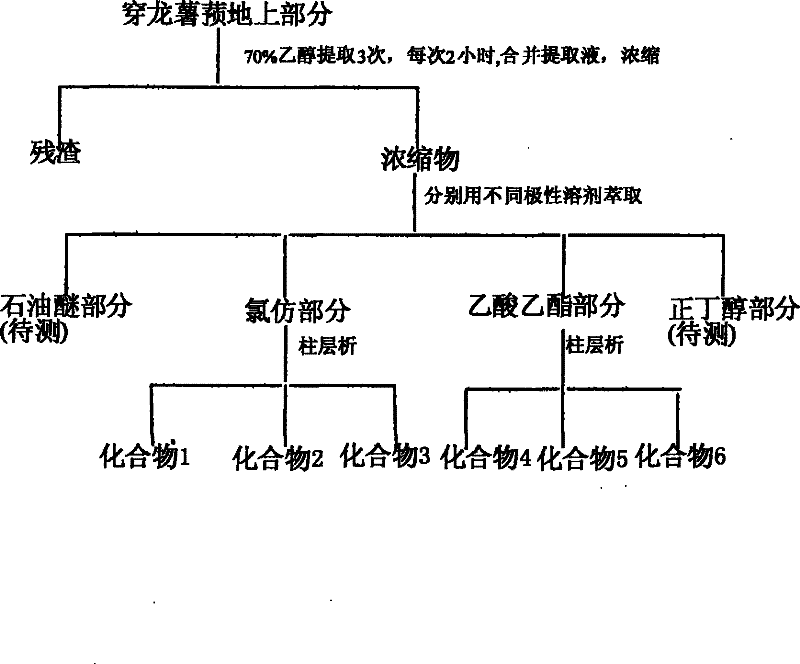 Medicine composition for regulating blood fat