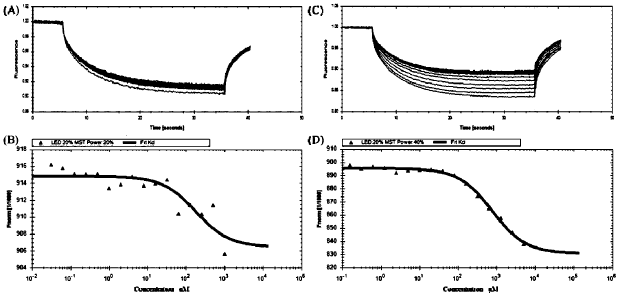 Targeted detection method of silver nanocluster imprinted polymer for tumor marker