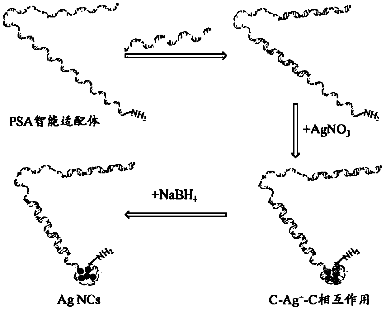 Targeted detection method of silver nanocluster imprinted polymer for tumor marker