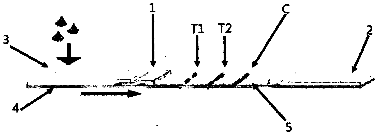 Preparation method of test strip for rapidly diagnosing porcine contagious pleuropneumonia actinobacillus