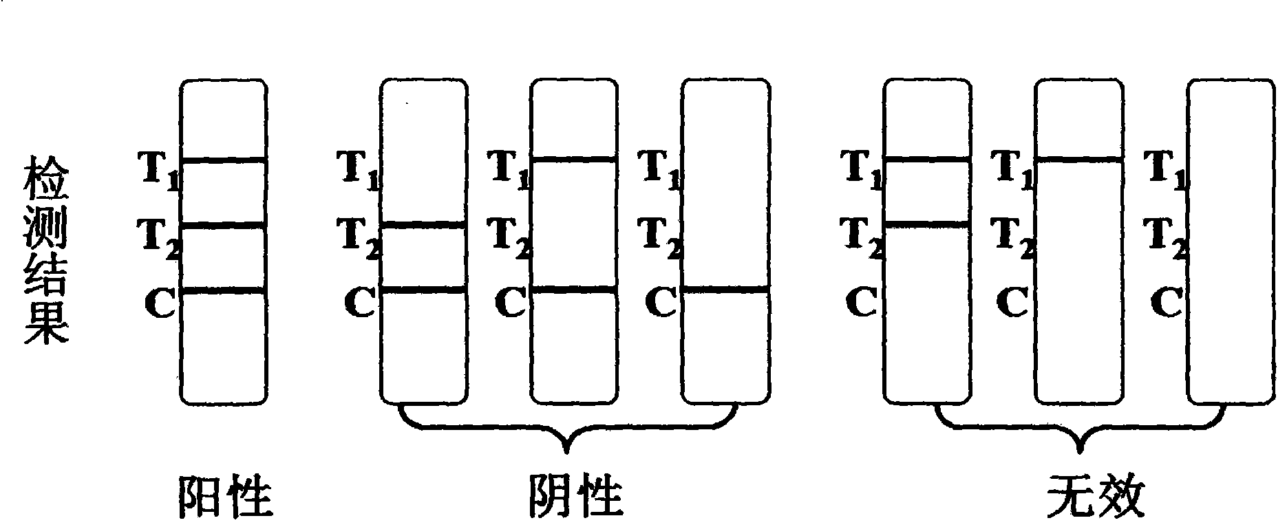 Preparation method of test strip for rapidly diagnosing porcine contagious pleuropneumonia actinobacillus