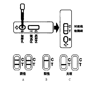 Preparation of semiquantitative and quick B-class trichothecenes toxin detection agent plate