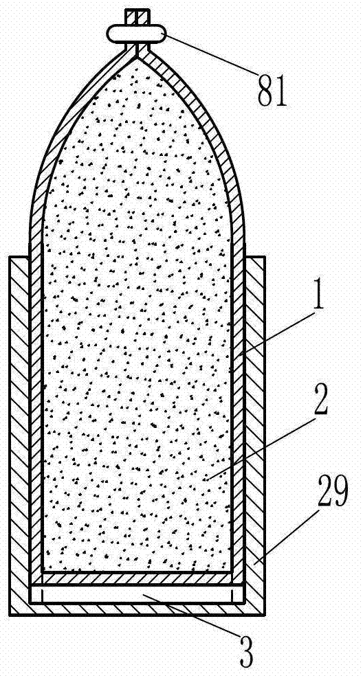 Solid projection bullet as well as projection device and delivery method thereof