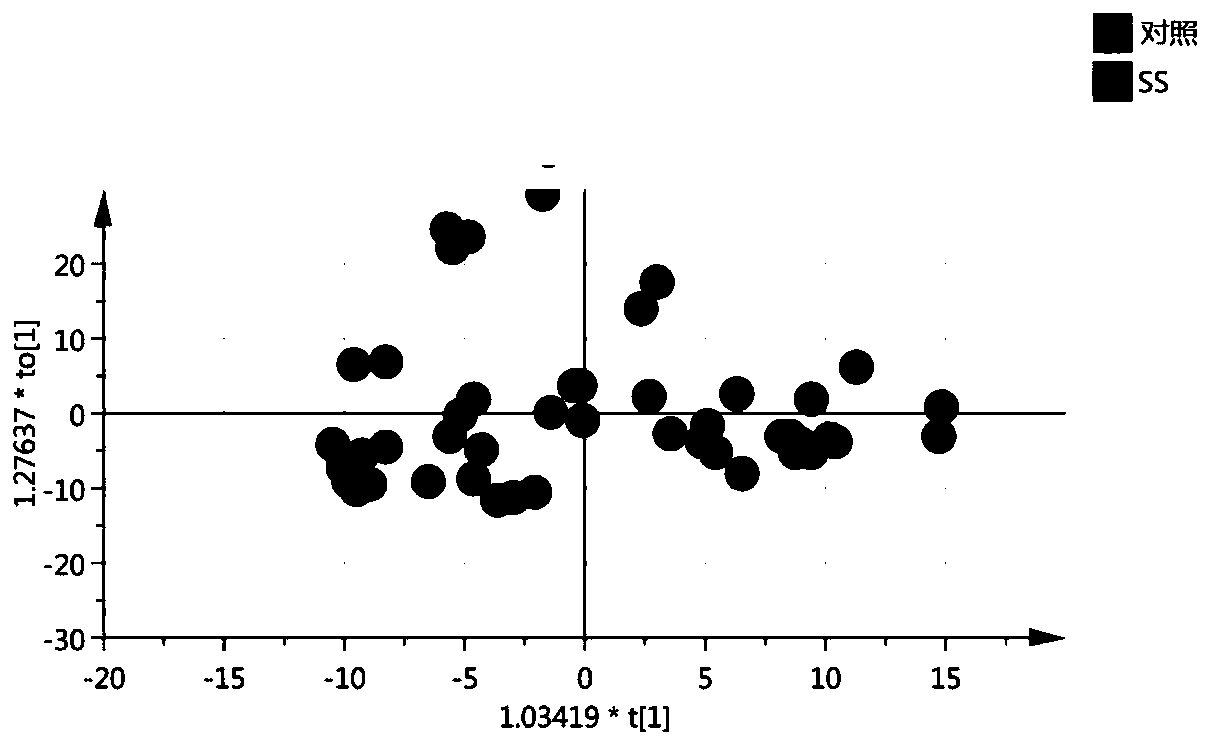 Protein marker for sicca syndrome in saliva and application of protein marker