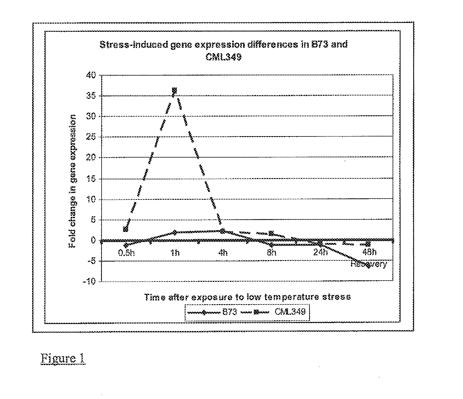 Compositions and Methods of Use of Mitogen-Activated Protein Kinase Kinase Kinase