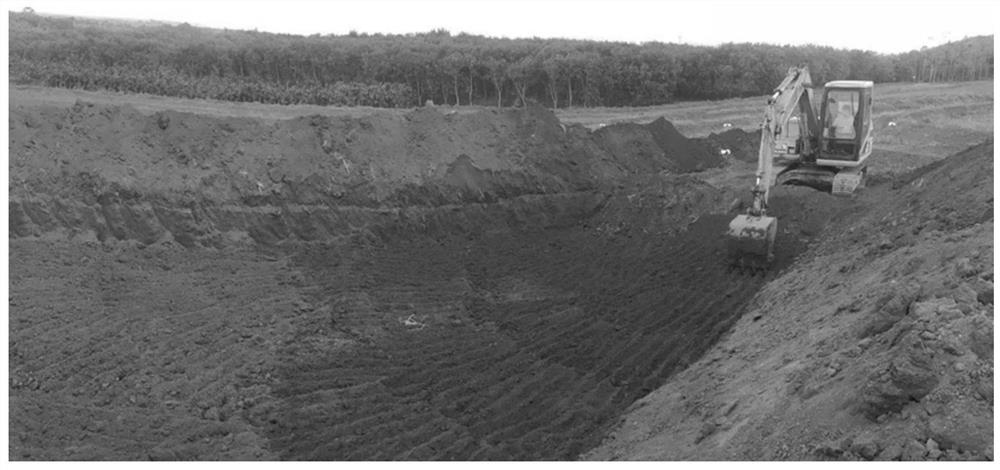 A treatment method for water conservation, water conservation and fertilizer conservation by transforming dry and sandy land into paddy fields