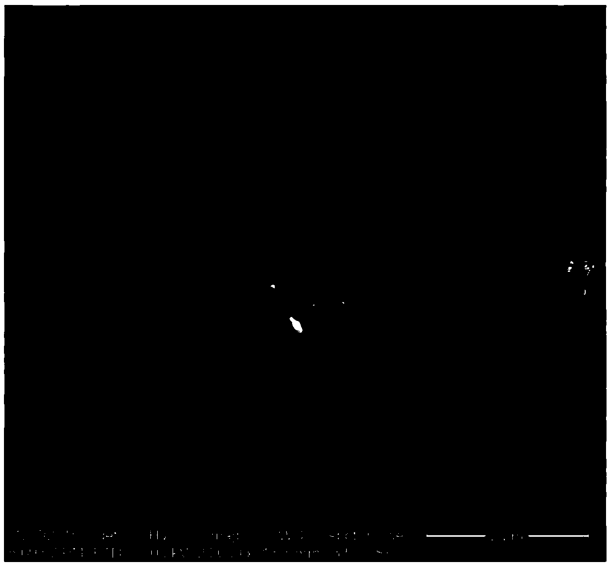 Titanium dioxide/graphene/molecularly imprinted composite material and its preparation method and application