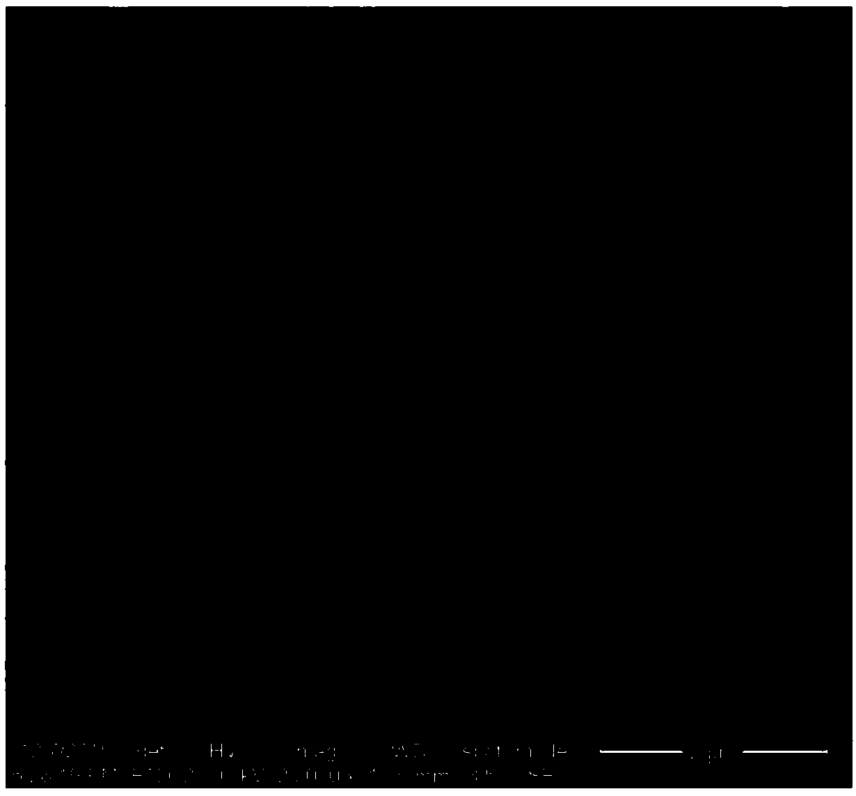 Titanium dioxide/graphene/molecularly imprinted composite material and its preparation method and application