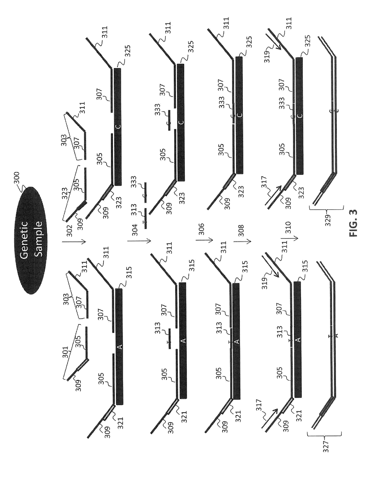 Non-invasive fetal sex determination