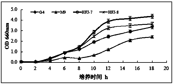 A kind of compound microbial fertilizer that antagonizes soil-borne fungal diseases and its preparation method and application